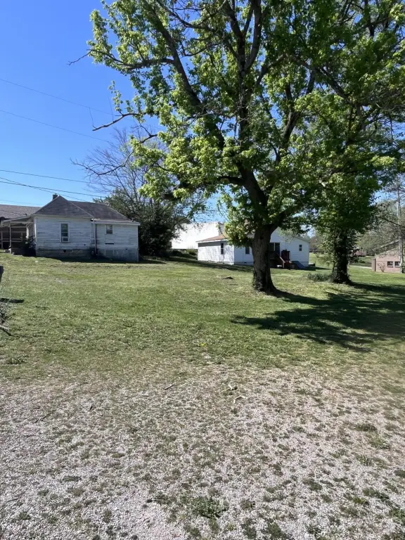 Picture 31