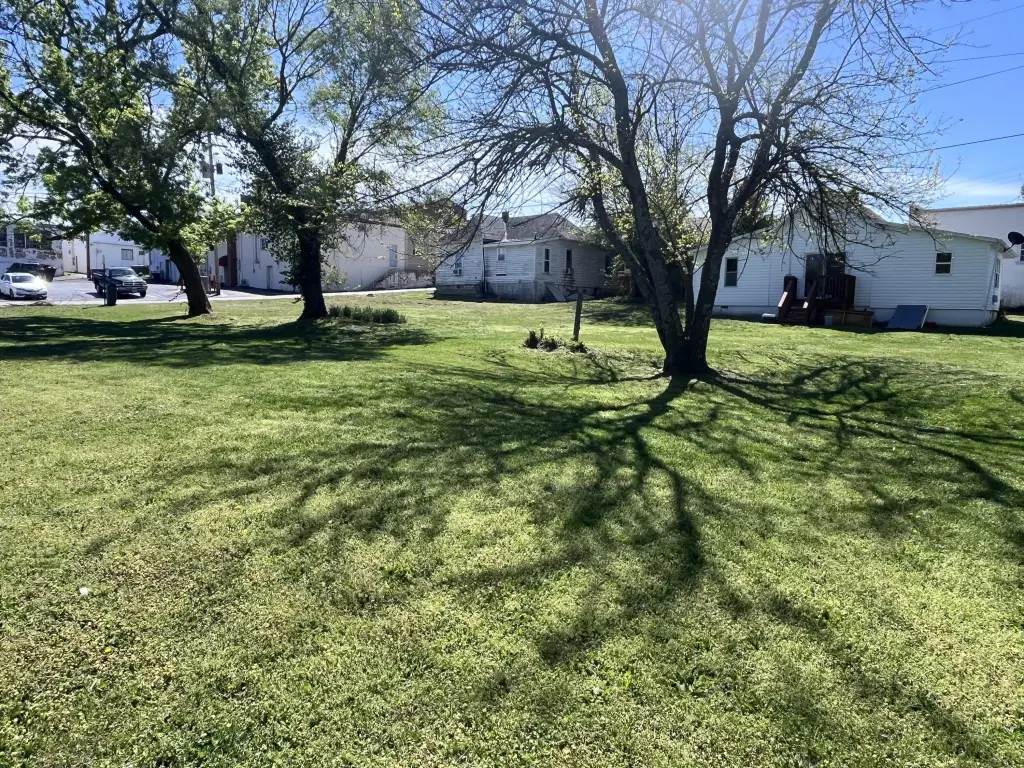 Picture 28