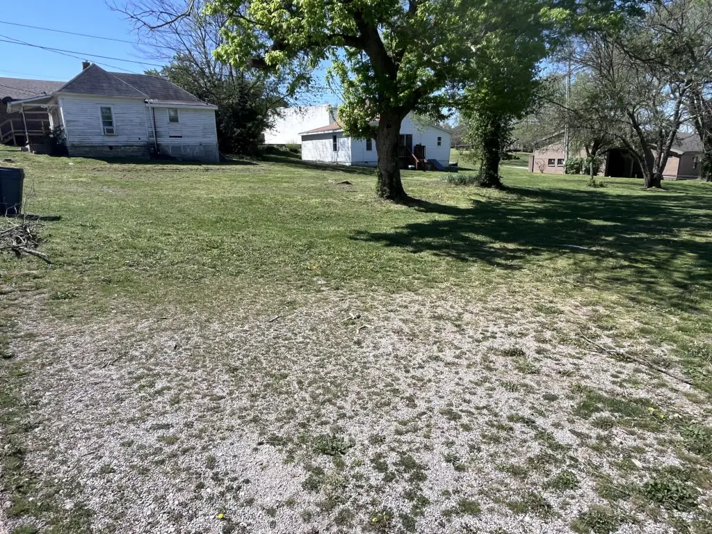 Picture 30