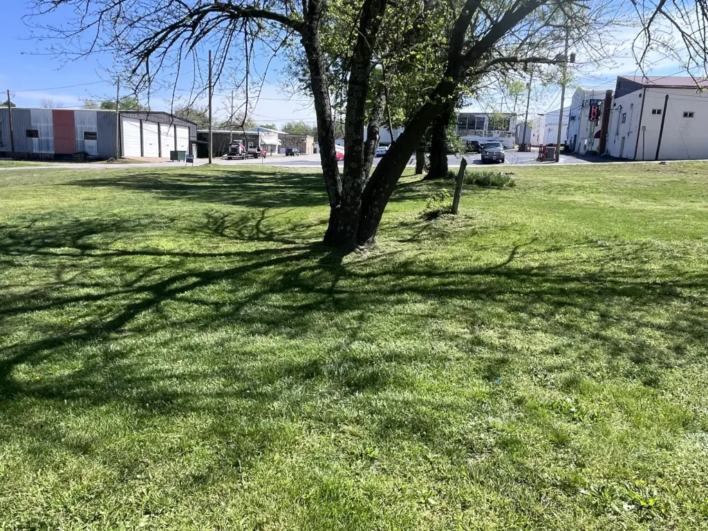 Picture 26
