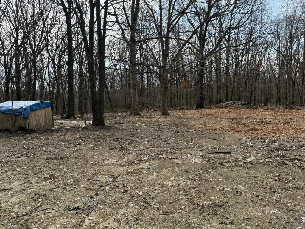 Picture 2