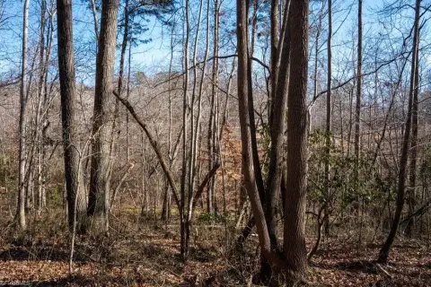 Pilot Mountain Homesite Opportunity