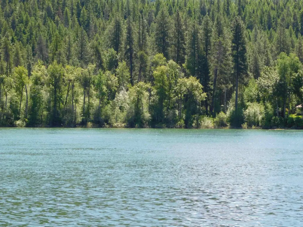 Picture 6