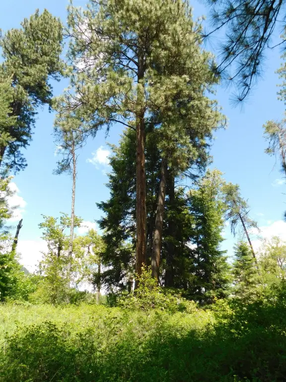 Picture 13
