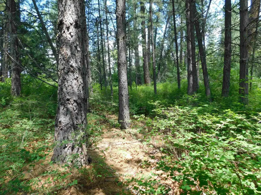 Picture 9