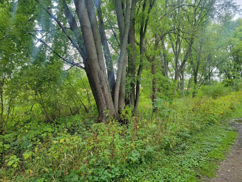 Picture 4