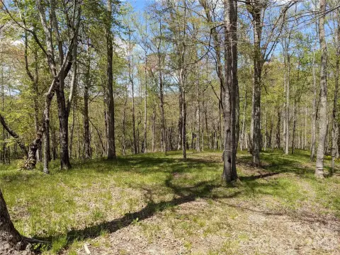 Arden Land with Stream Frontage