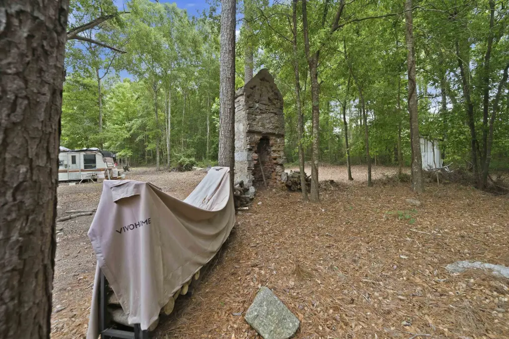 Picture 14