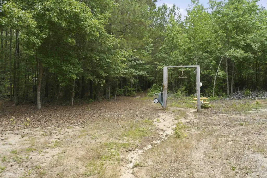 Picture 15
