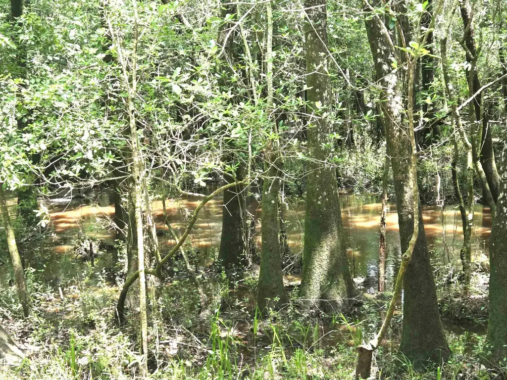 Picture 6