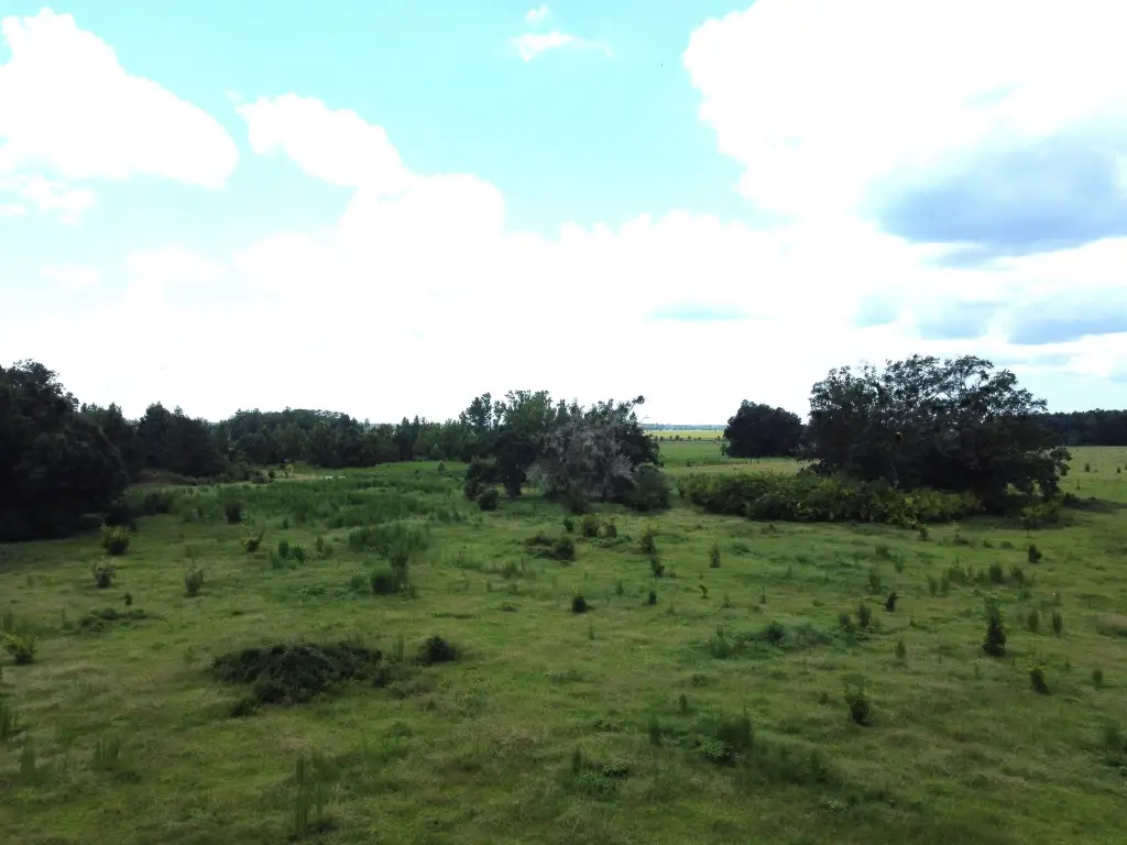 Picture 22