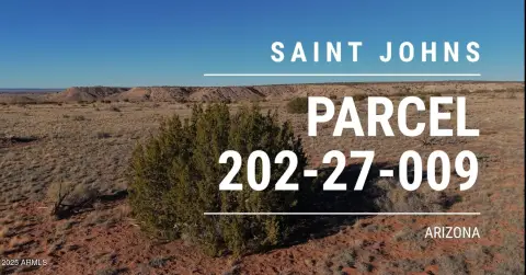 48 Acres High Desert Land