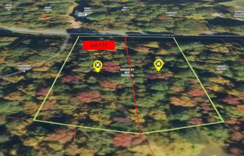 Wooded Lot with Septic Certification