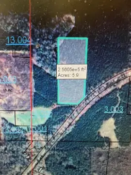 Unrestricted Land with Timber