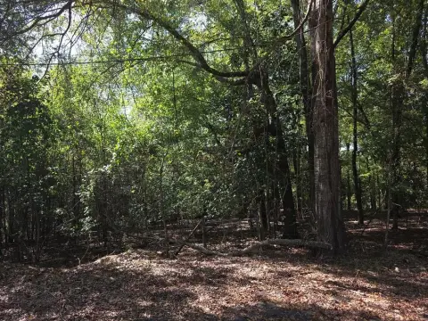 Wooded Land Near Lake Eufaula
