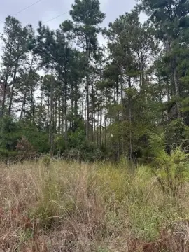 Georgetown, GA Hunting and Recreational Land