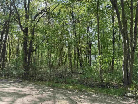 As-Is Recreational Land Lot