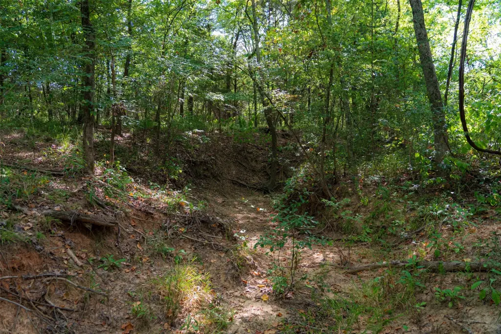 Picture 21
