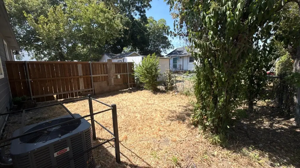 Picture 17