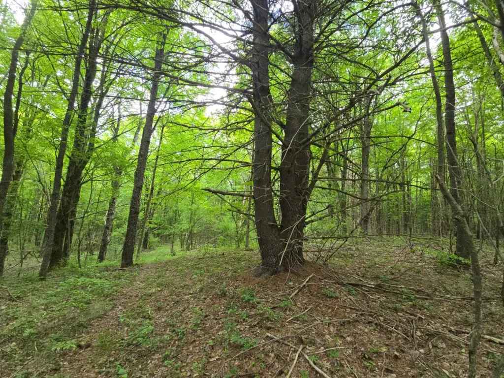 Picture 22