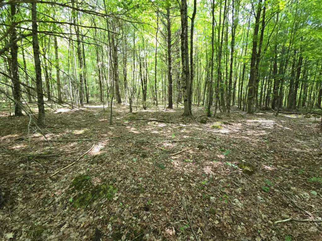 Picture 36