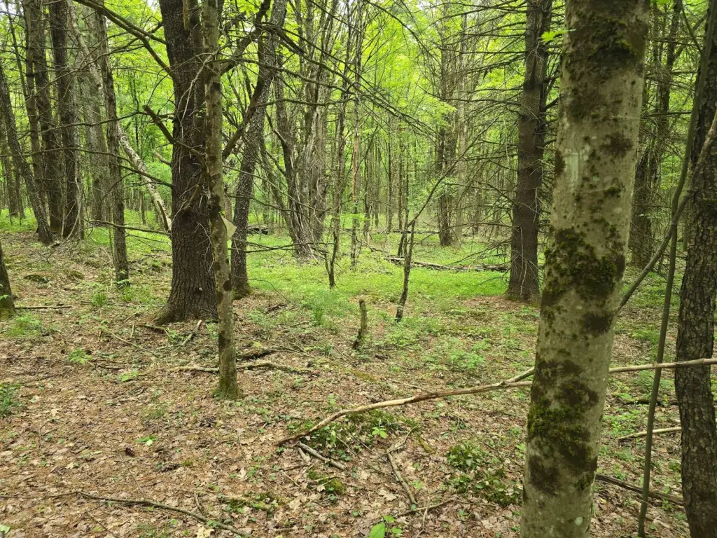 Picture 28