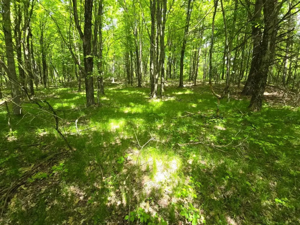 Picture 15