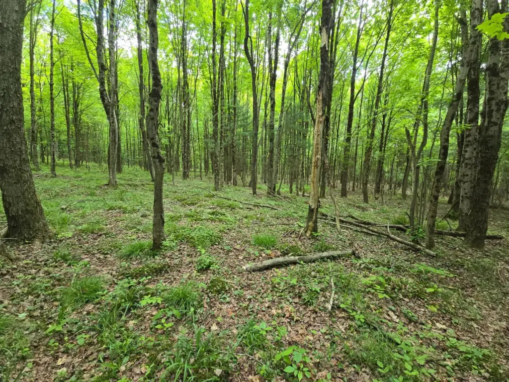 Picture 14