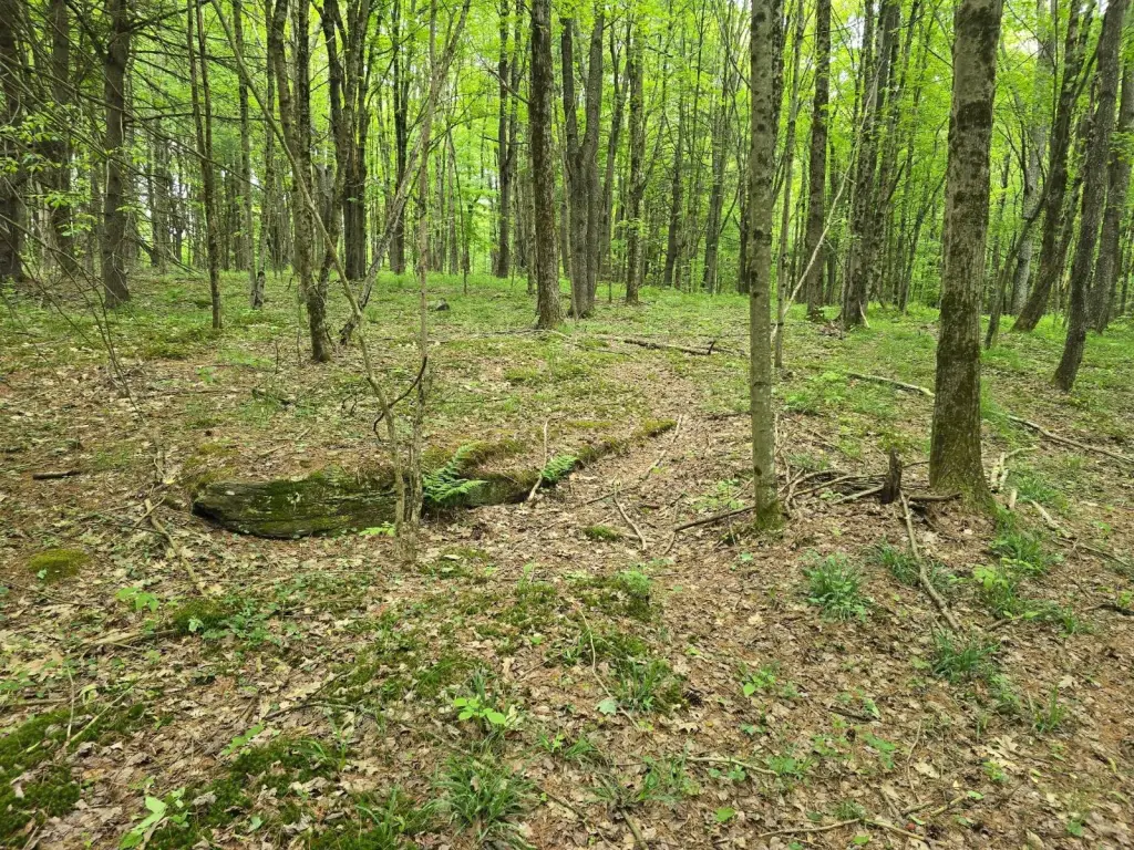 Picture 27