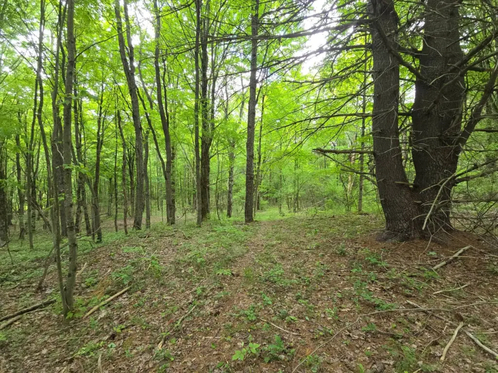 Picture 20