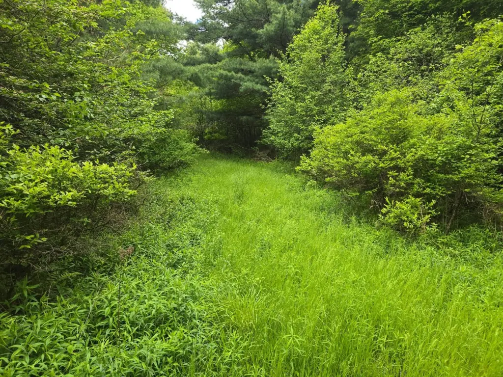 Picture 25