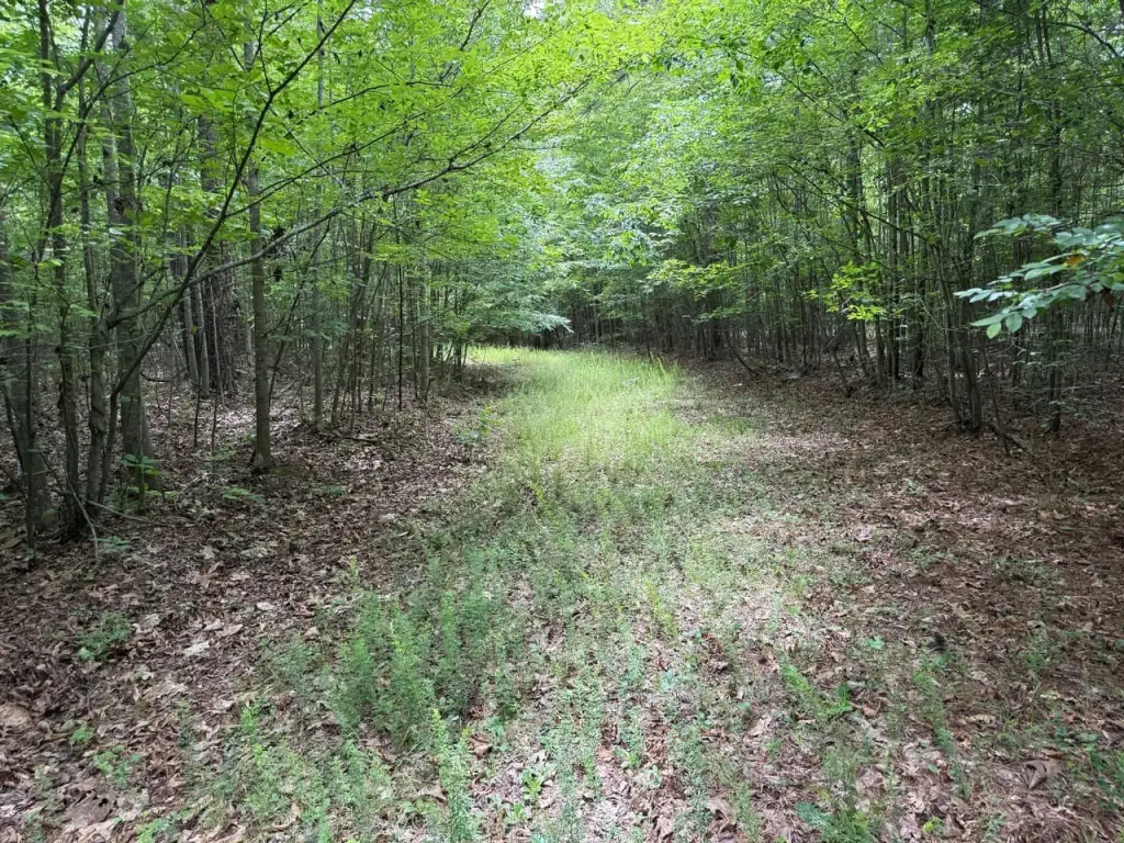 Picture 19