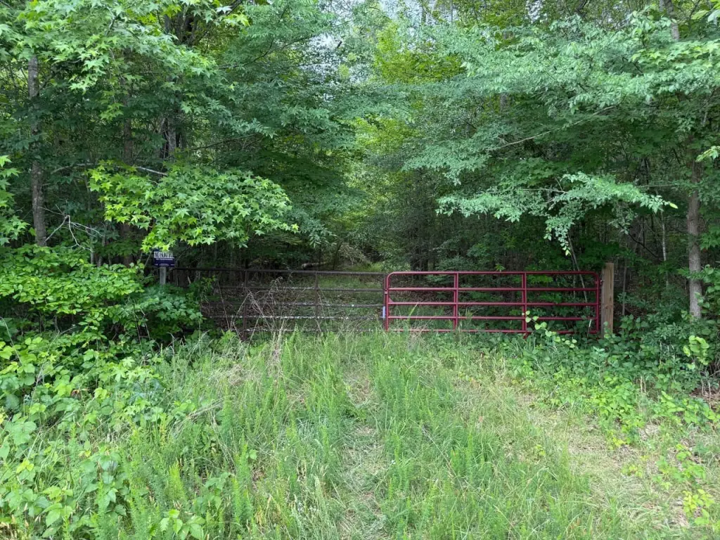 Picture 5