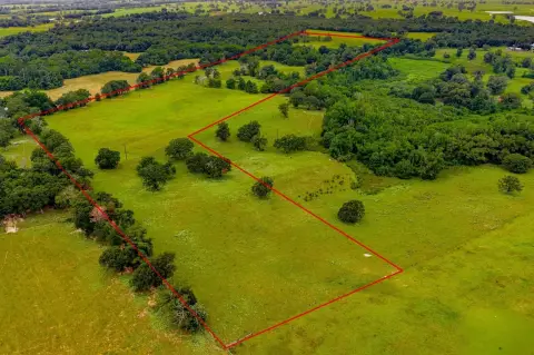 Wooded Acreage Near Palestine, TX