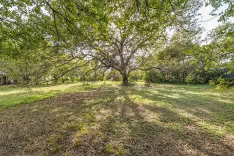 Residential Land with Mature Pecan