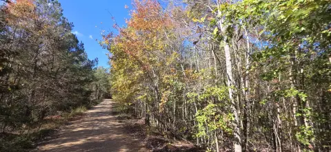 Unrestricted Land Near Smith Lake