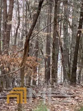 Lake Russell Overlooking Lot