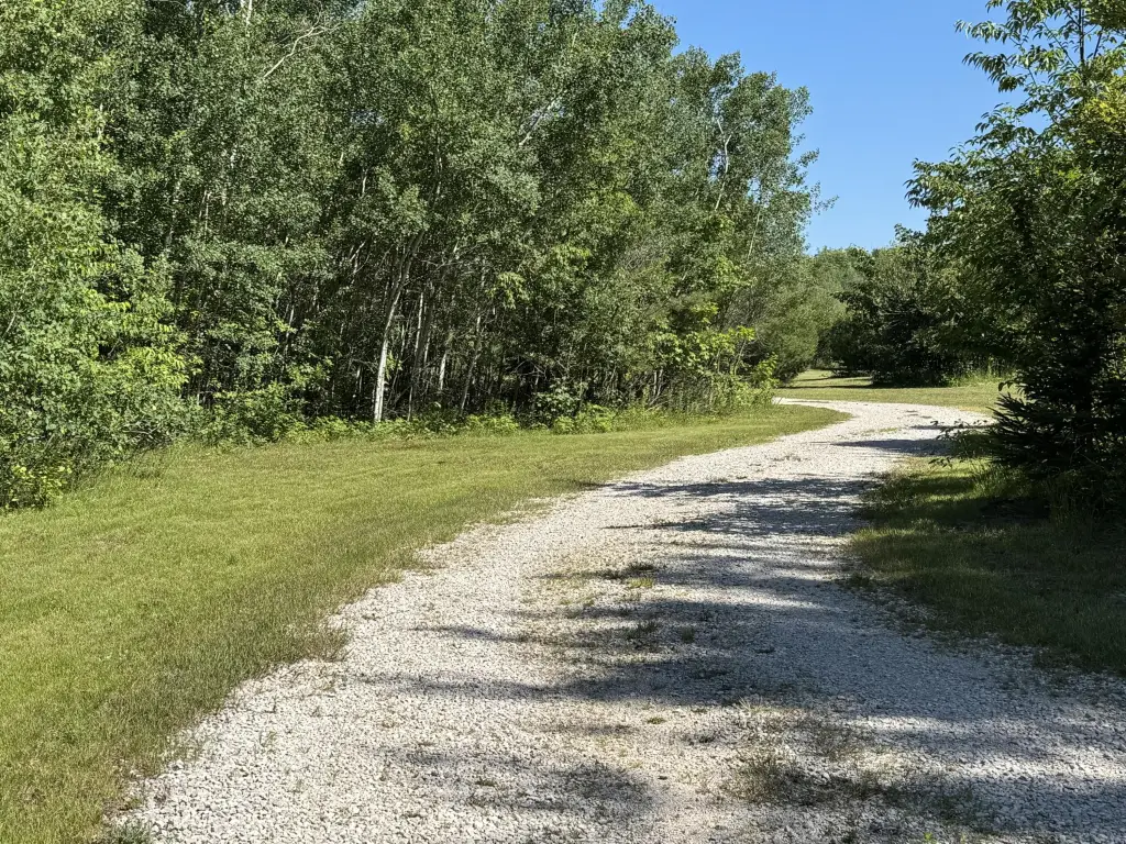 Picture 21
