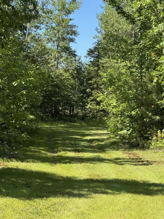 Picture 25