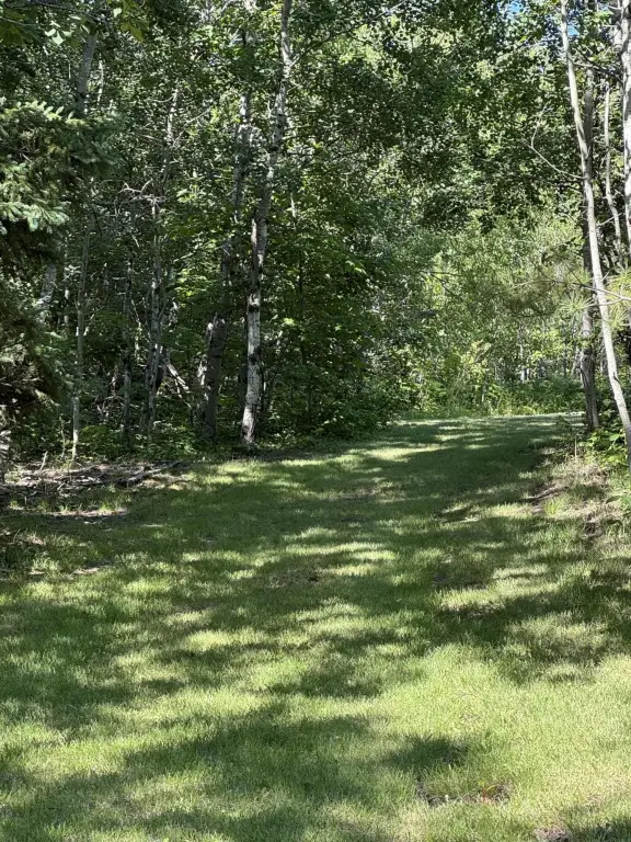 Picture 29