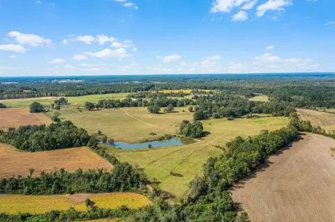 Lexington Farm with 95 Acres