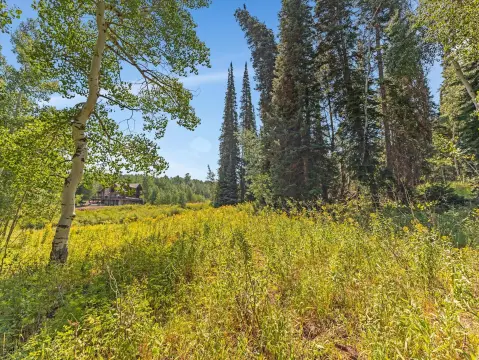 Premier Homesite in Timber Lakes