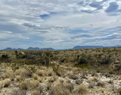 Terlingua Ranch Starter Land