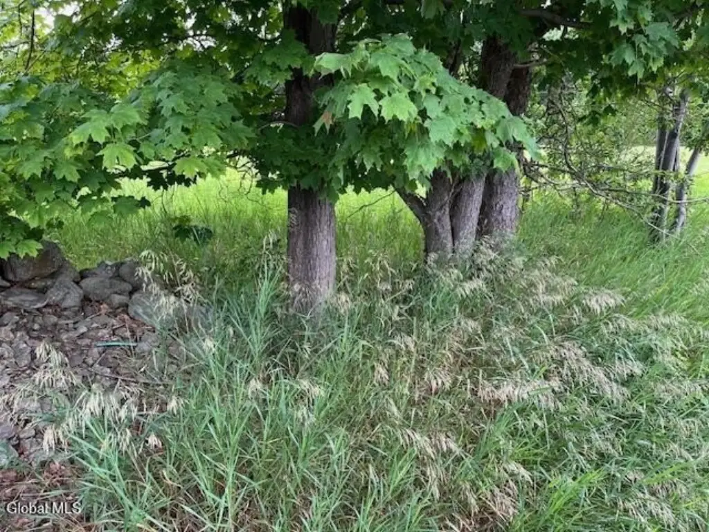 Picture 3