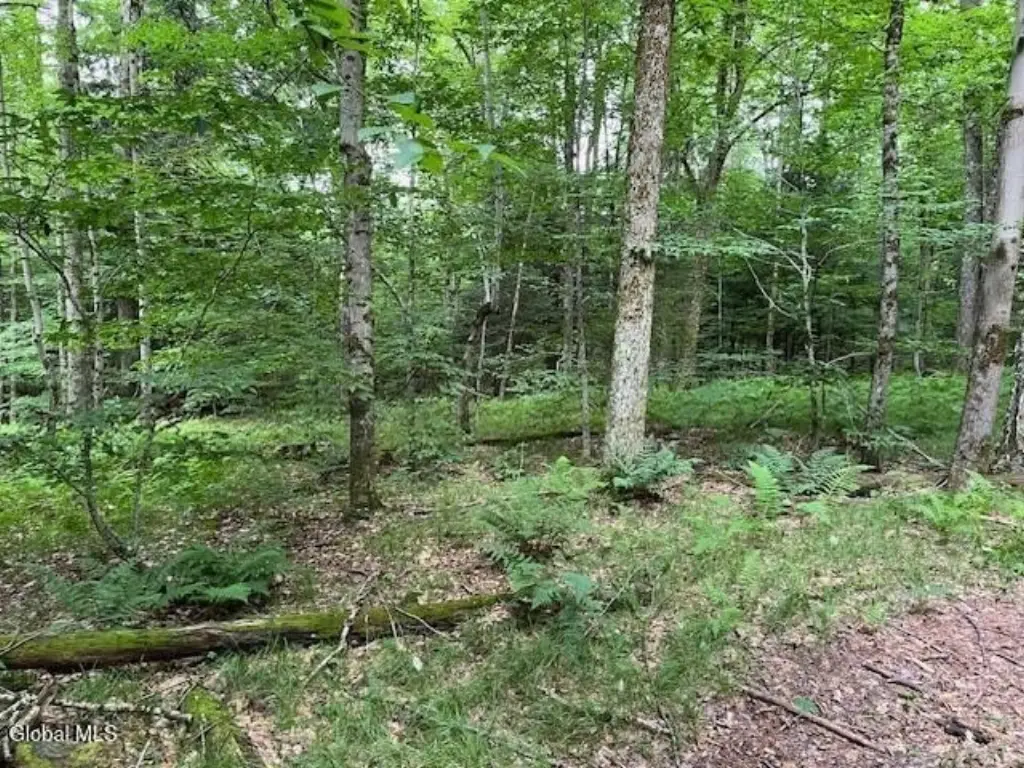 Picture 21