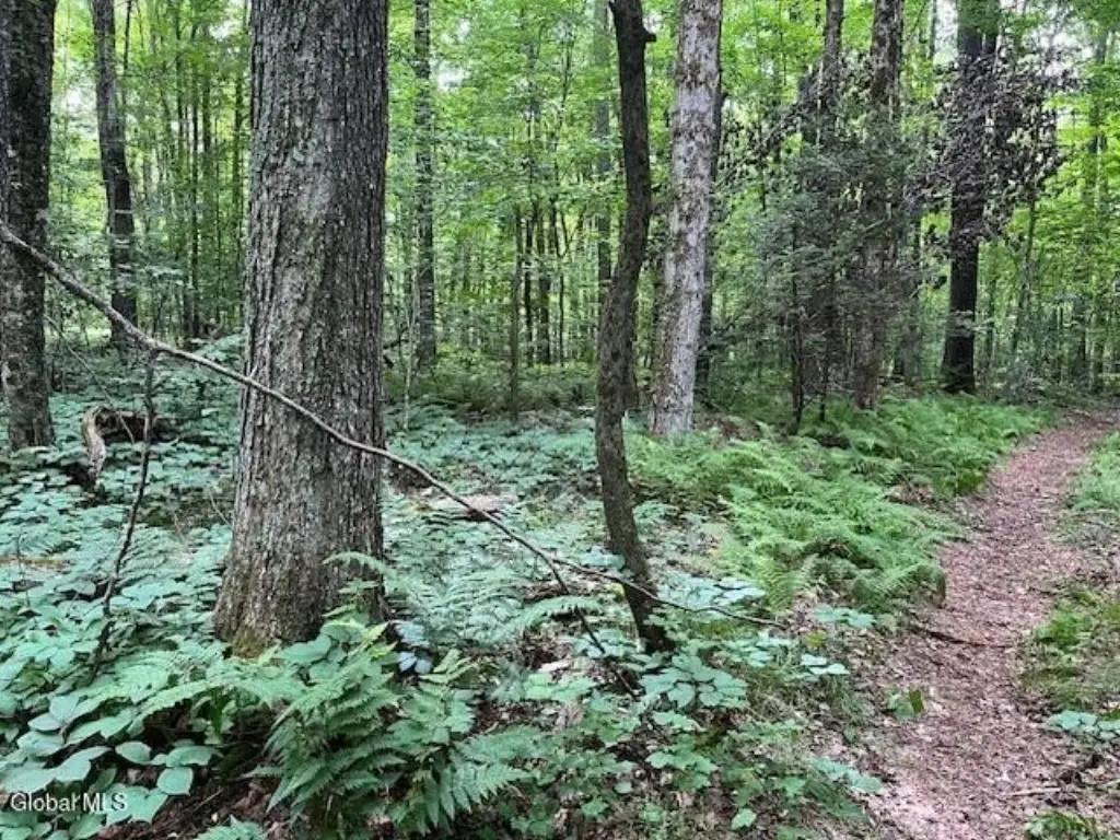 Picture 19