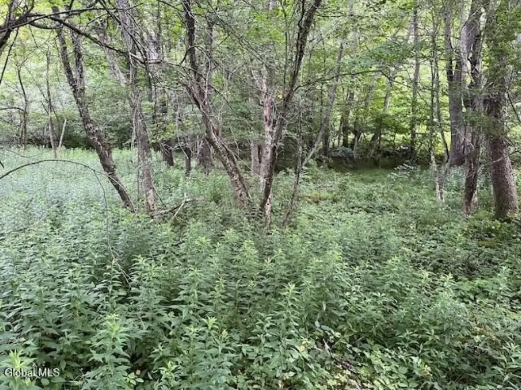 Picture 9
