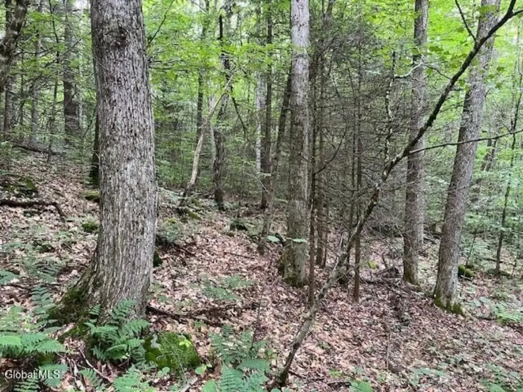 Picture 15