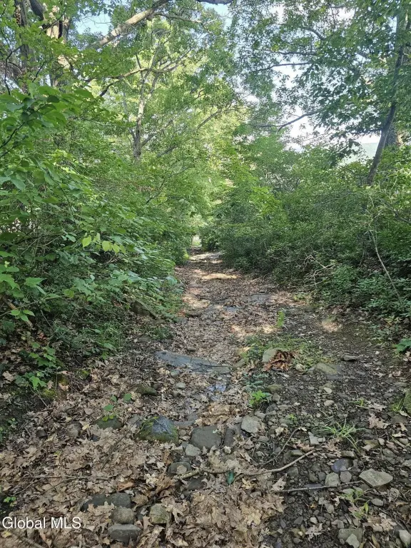 Picture 6