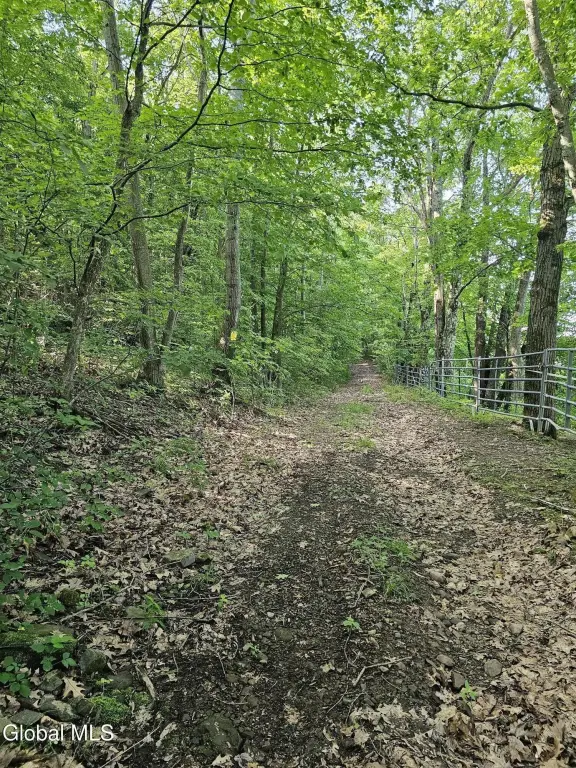 Picture 5